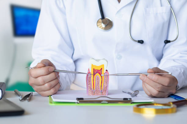 Best Weekend Emergency Dentist in Hazen, ND